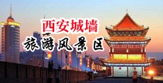 肏荡妇屄内射(15p)中国陕西-西安城墙旅游风景区