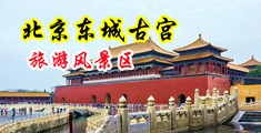免费裸体操屄51tv中国北京-东城古宫旅游风景区
